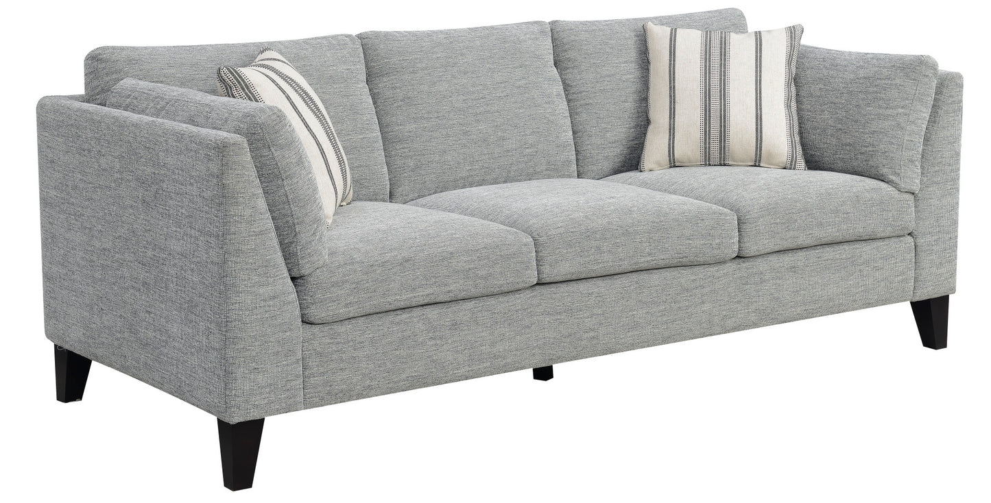 Gray Sofa