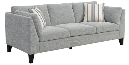 Gray Sofa