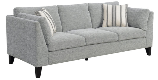 Gray Sofa