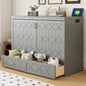 Queen Size Murphy Bed Wall Bed with drawer and a set of Sockets & USB Ports, Gray(Old Sku: LP000400AAE)