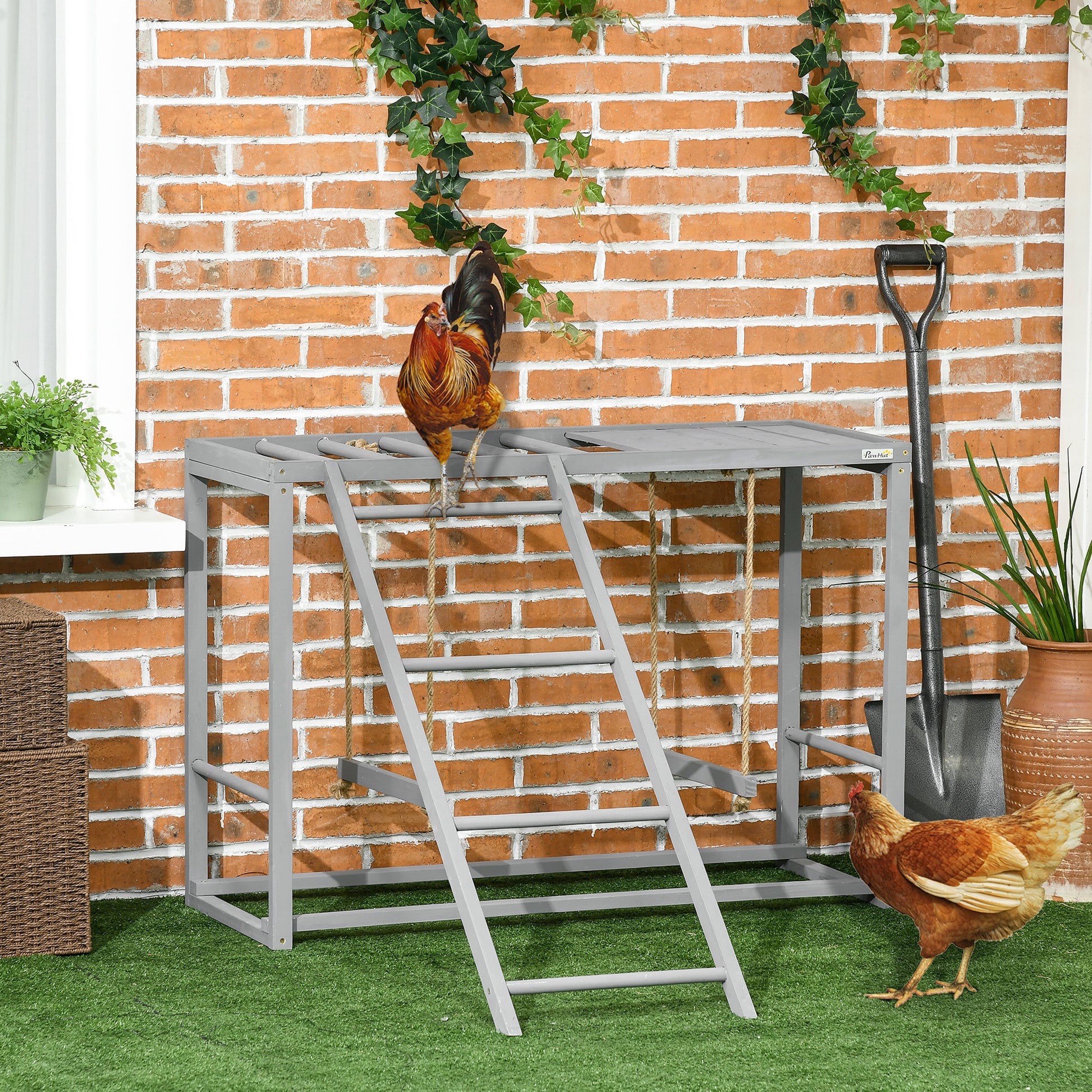Solid Wood Chicken Coop Accessories with Swings and Perches for Multiple Birds