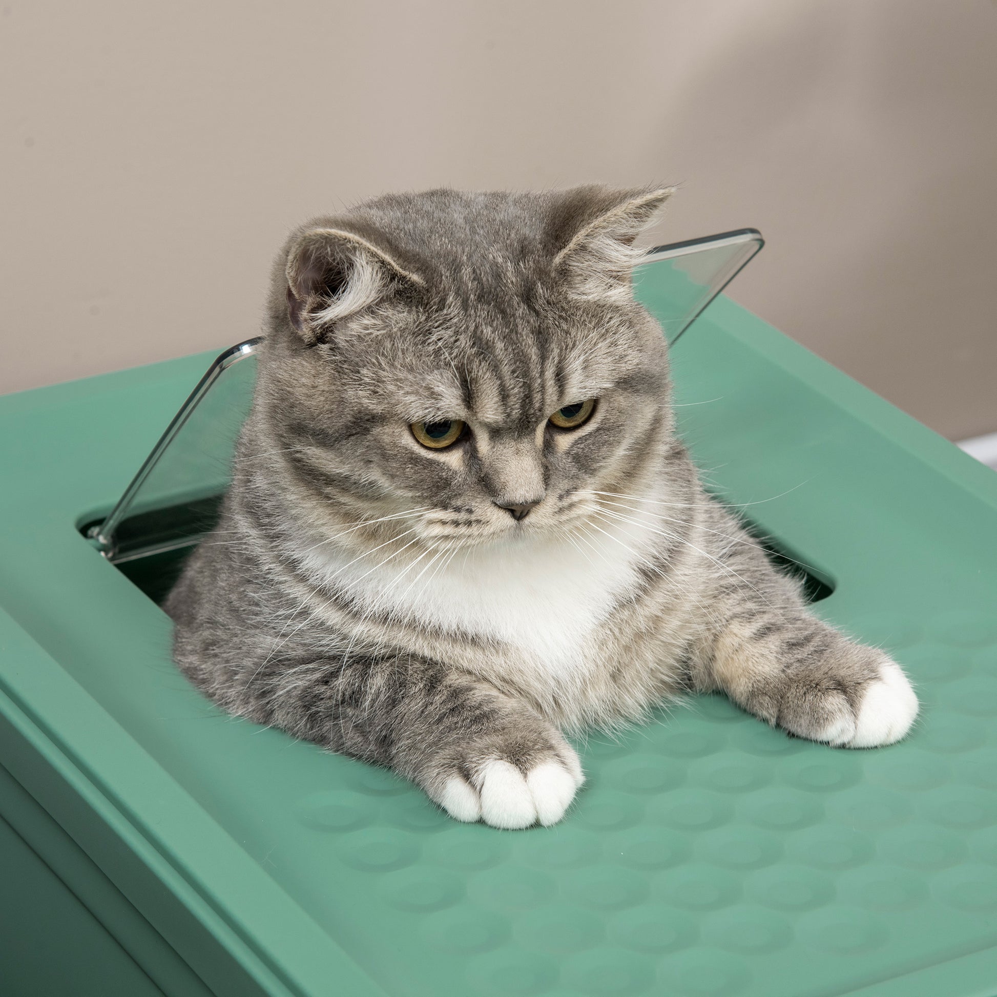 Green Polypropylene Cat Litter Box - Spacious Enclosure