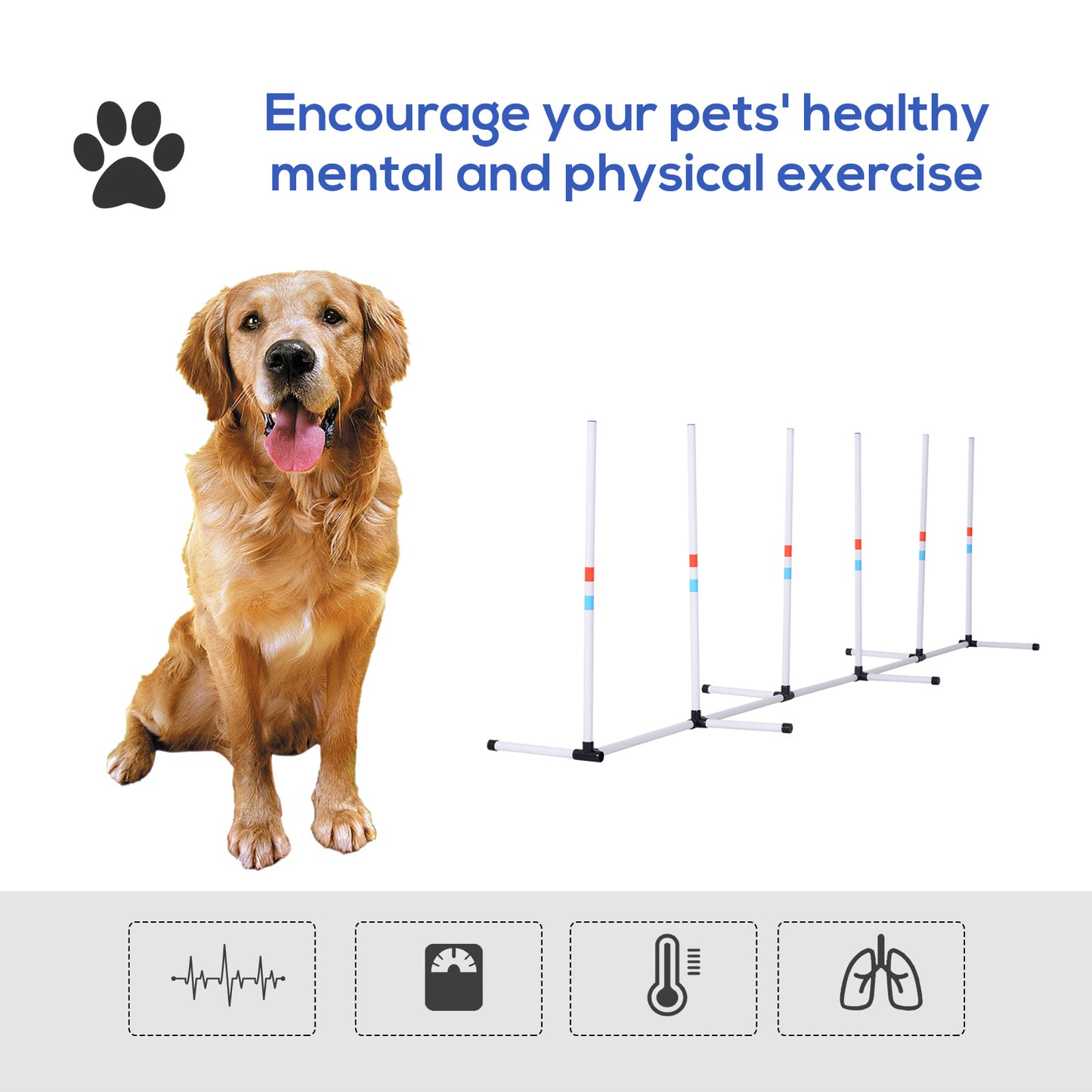PawHut Adjustable Dog Agility Set - White, 129"L