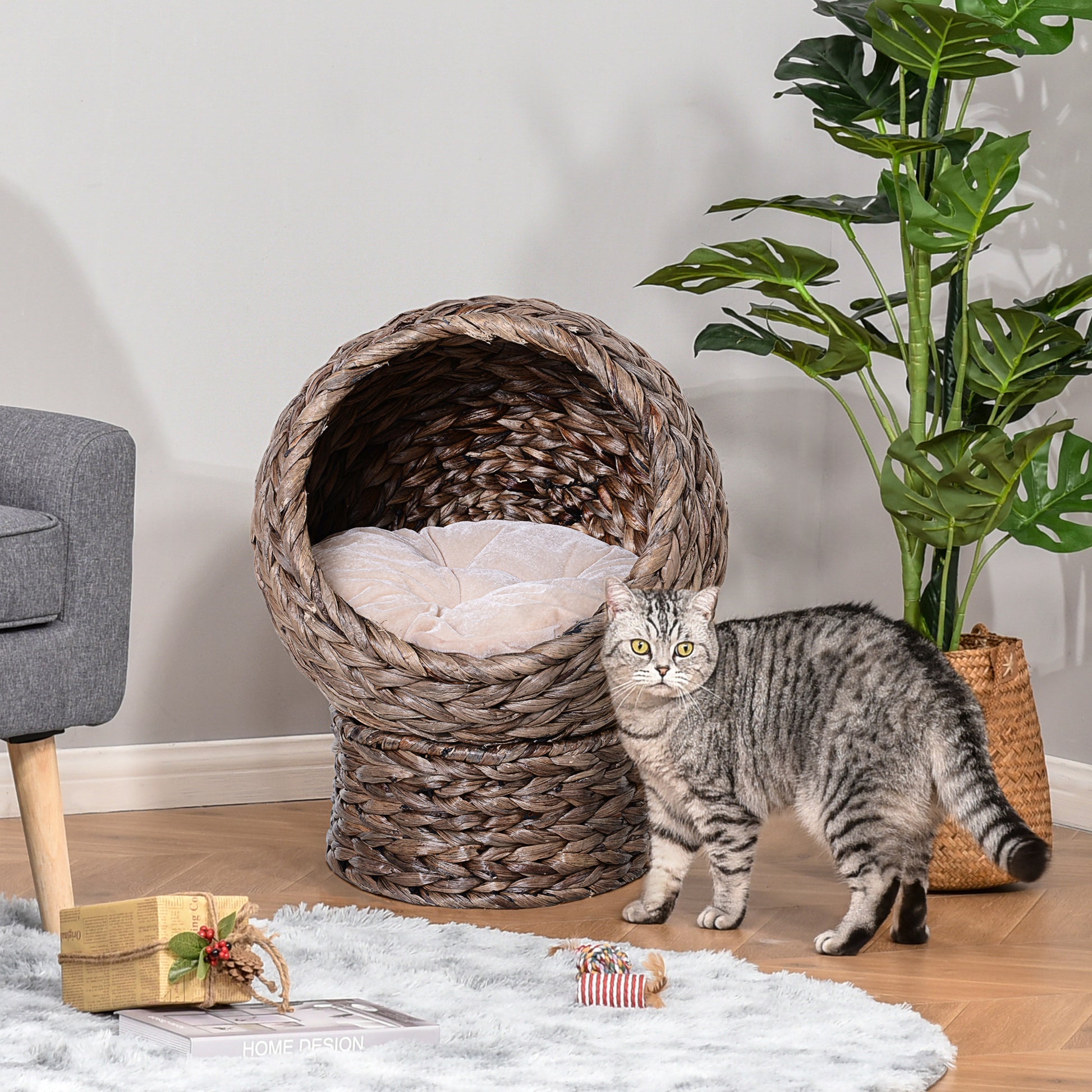 Gray Wicker Elevated Cat Bed with Soft Cushion for Indoor Cats