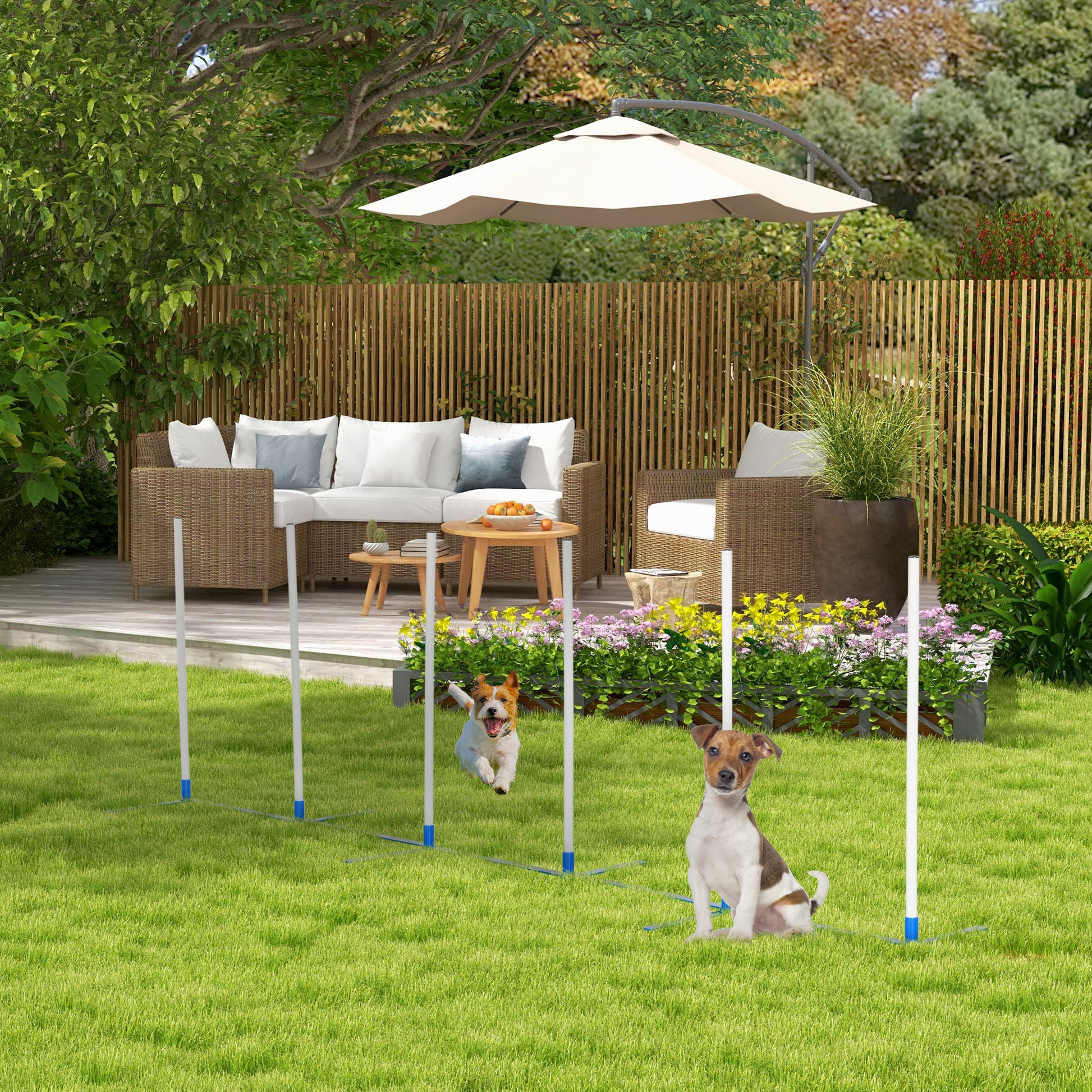 White Plastic Dog Agility Course Set - Adjustable Training Equipment