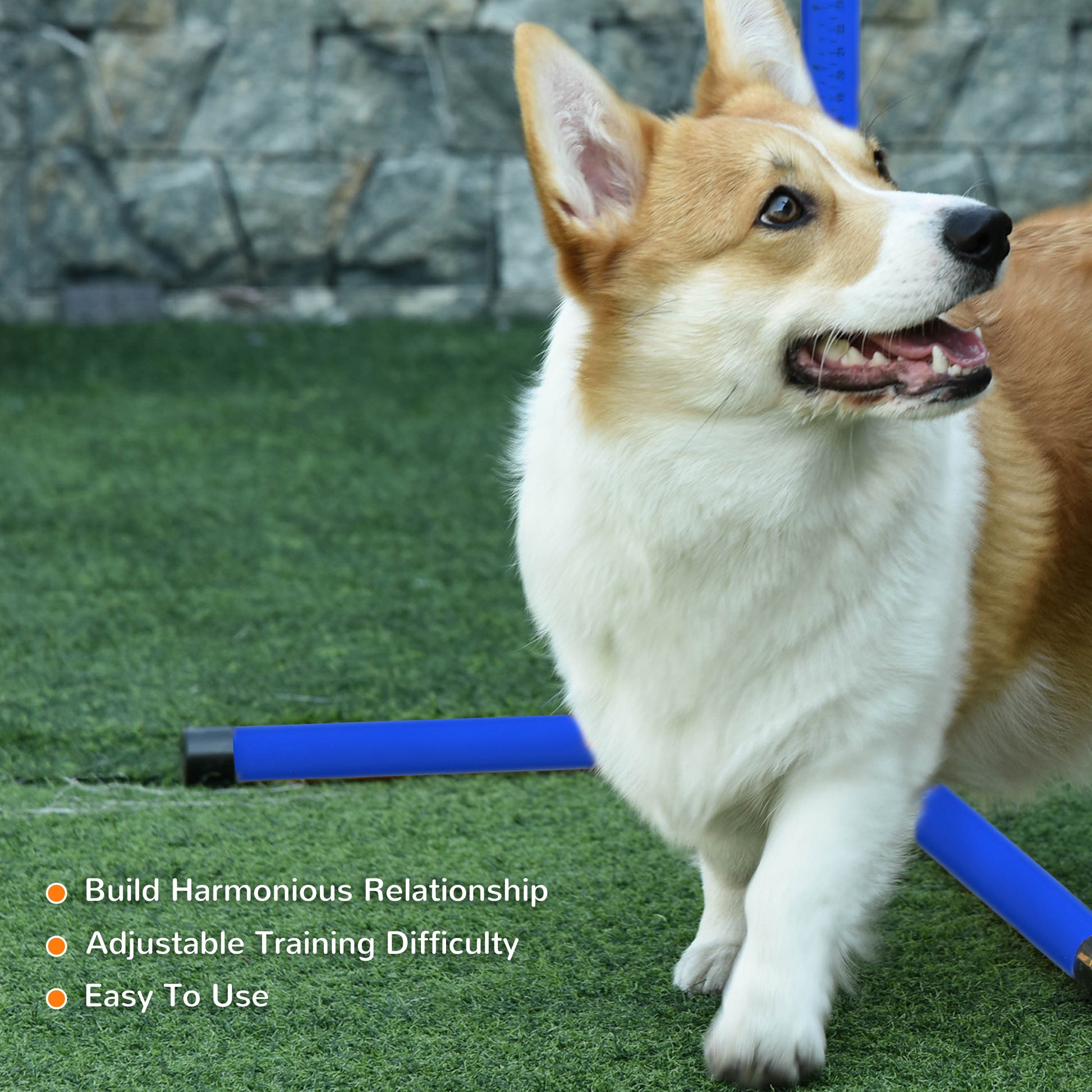 PawHut 4 Piece Dog Agility Training Set - Adjustable Blue Bars