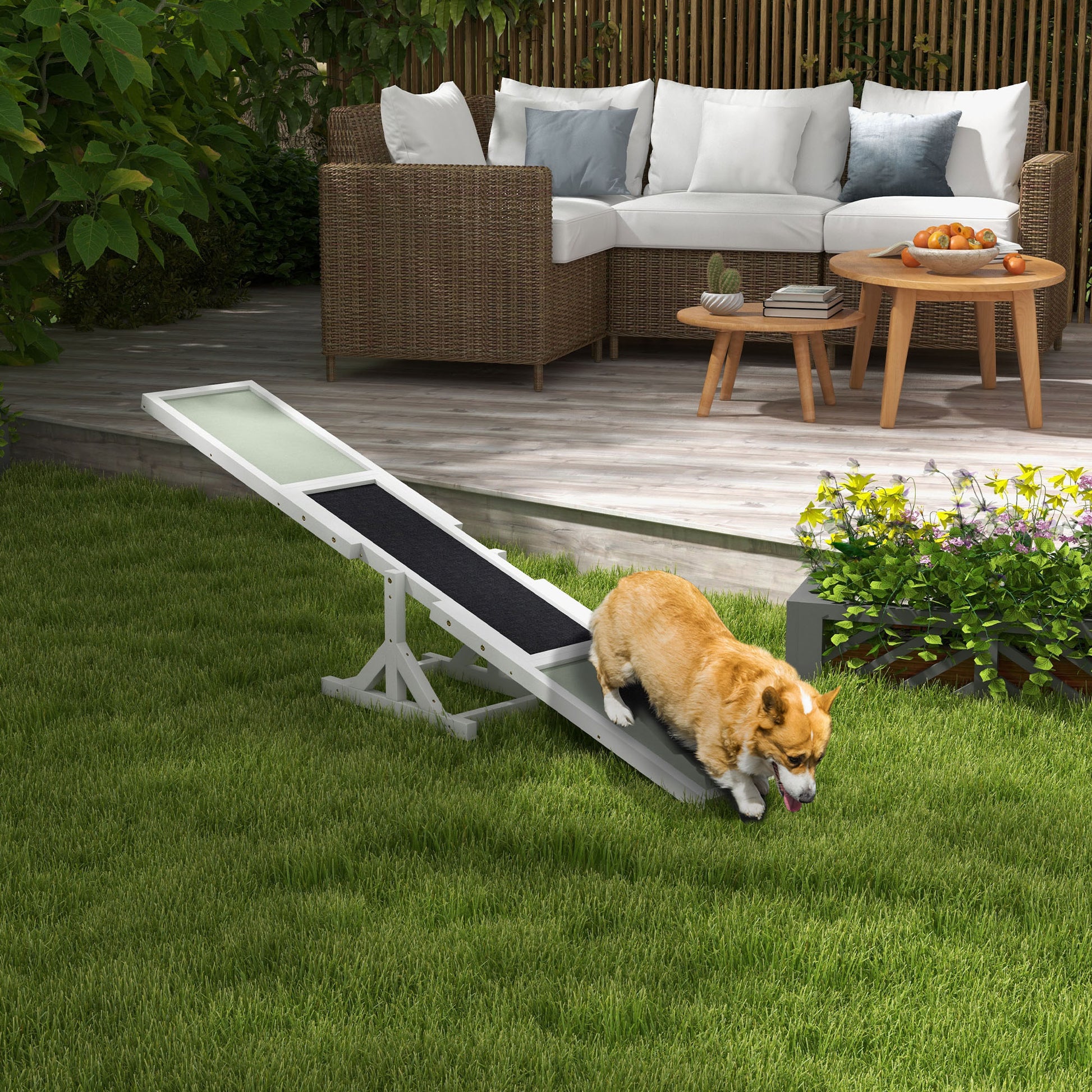 Wooden Dog Agility Seesaw - White - 71" L