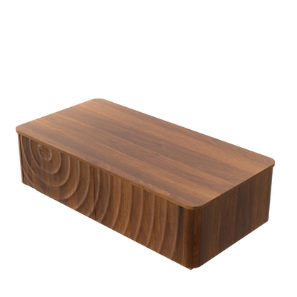 Walnut Brown Rectangle Coffee Table with Storage