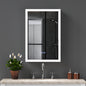 LED Lighted Medicine Cabinet with Mirror, 20*30Inches Bathroom Mirror Cabinet with Lights,Recessed or Wall Mounted, 3 Color TemperaturesAnti-Fog