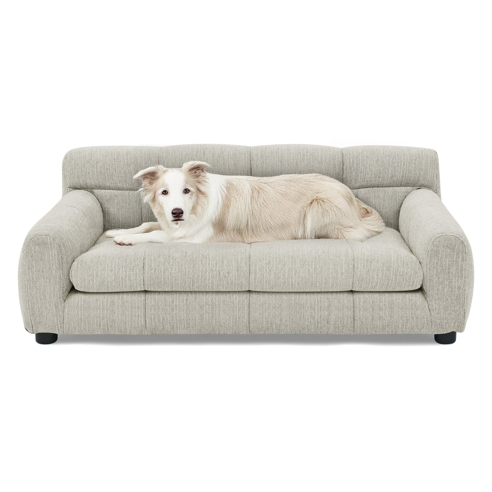 Soft Beige Foam Pet Sofa with Backrest & Armrests - Large Dog Bed