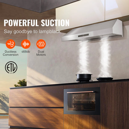Stainless Steel Range Hood with Dual Motors for Kitchen Storage