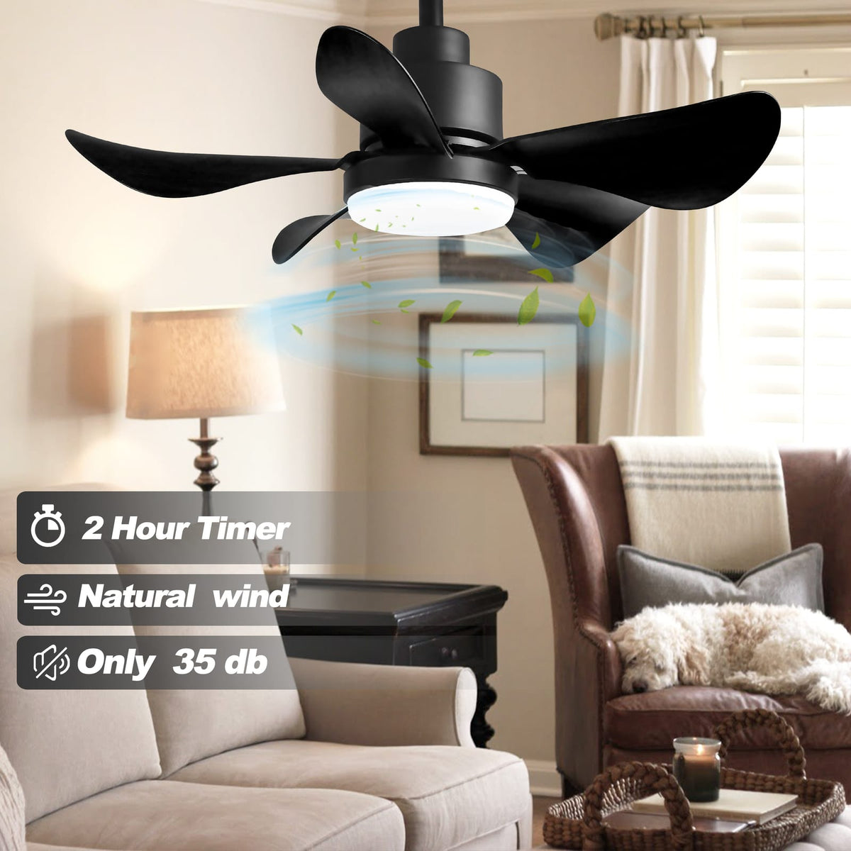 28 Inch Ceiling Fan with Lights - Black, Remote Control