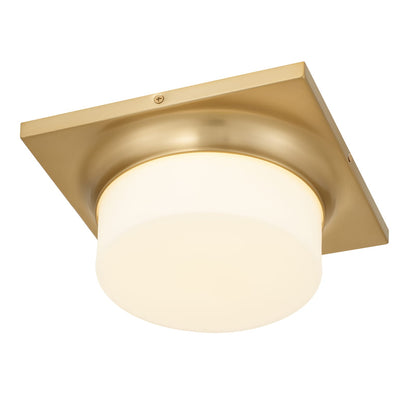 Antique Brass LED Flush Mount Light Fixture
