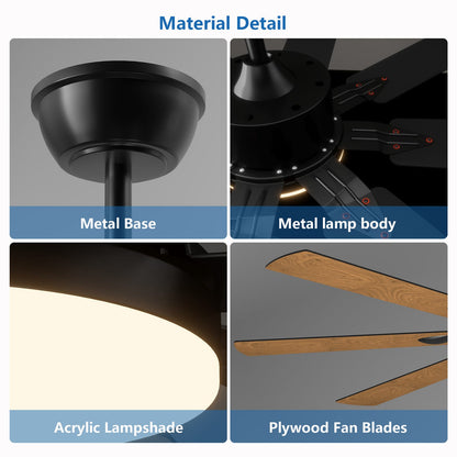 52 Inch Black Iron Ceiling Fan with Lights