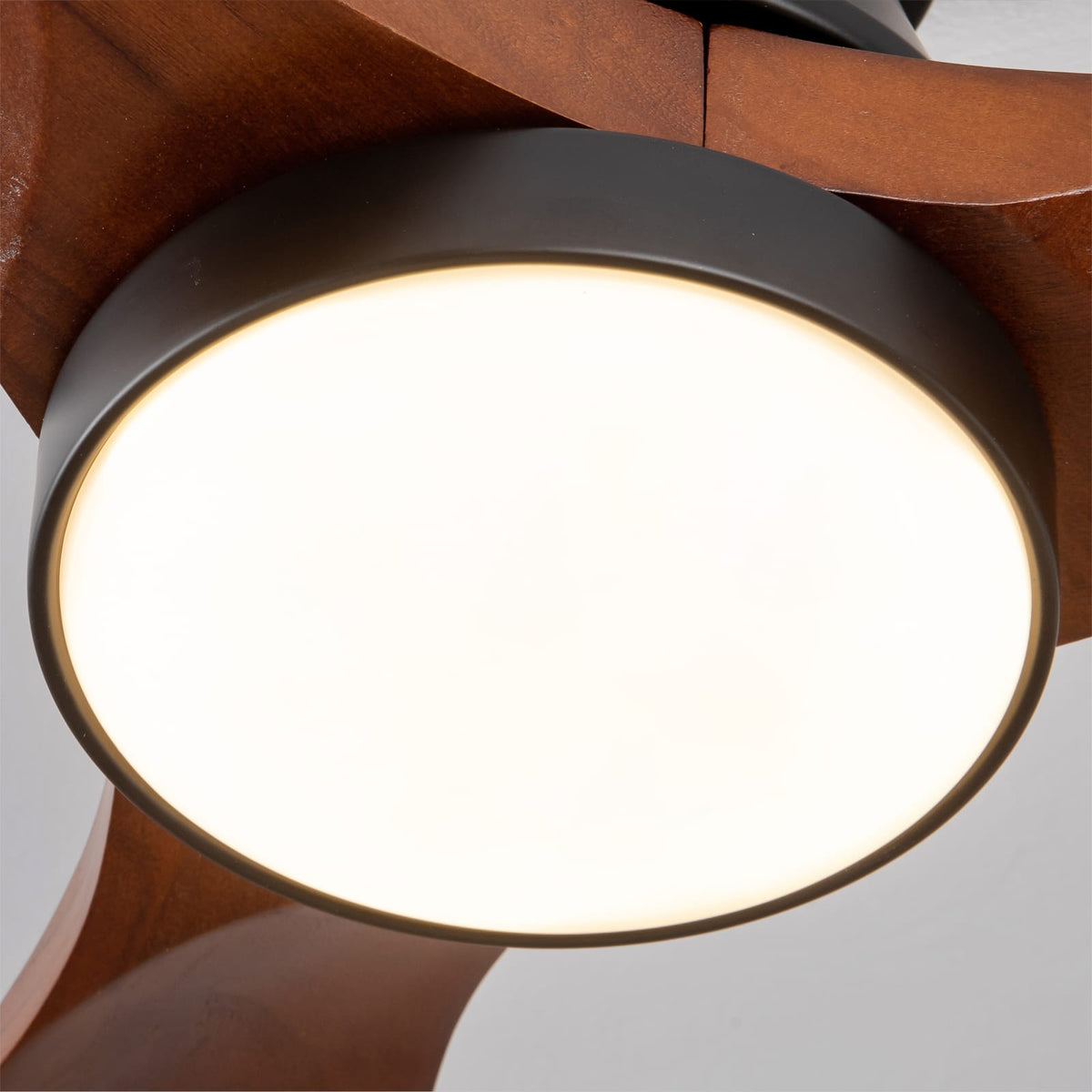 42 Inch Black Ceiling Fan with Light - Dark Walnut Blades