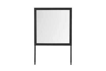 Black Gray Farmhouse Vanity Mirror with Storage