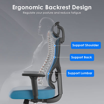 Ergonomic Office Chair - Black & Navy Mesh Desk Chair