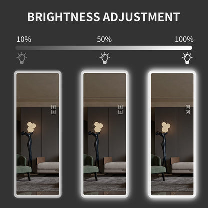 65 Inch Clear Glass Full Length Mirror with LED Light