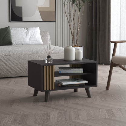 Multicolor Coffee Table with Storage Shelf - Modern Living Room Table