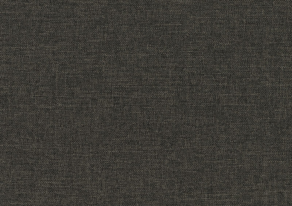 Dark Gray Sofa Bed with Trundle - 81" Daybed for Living Room