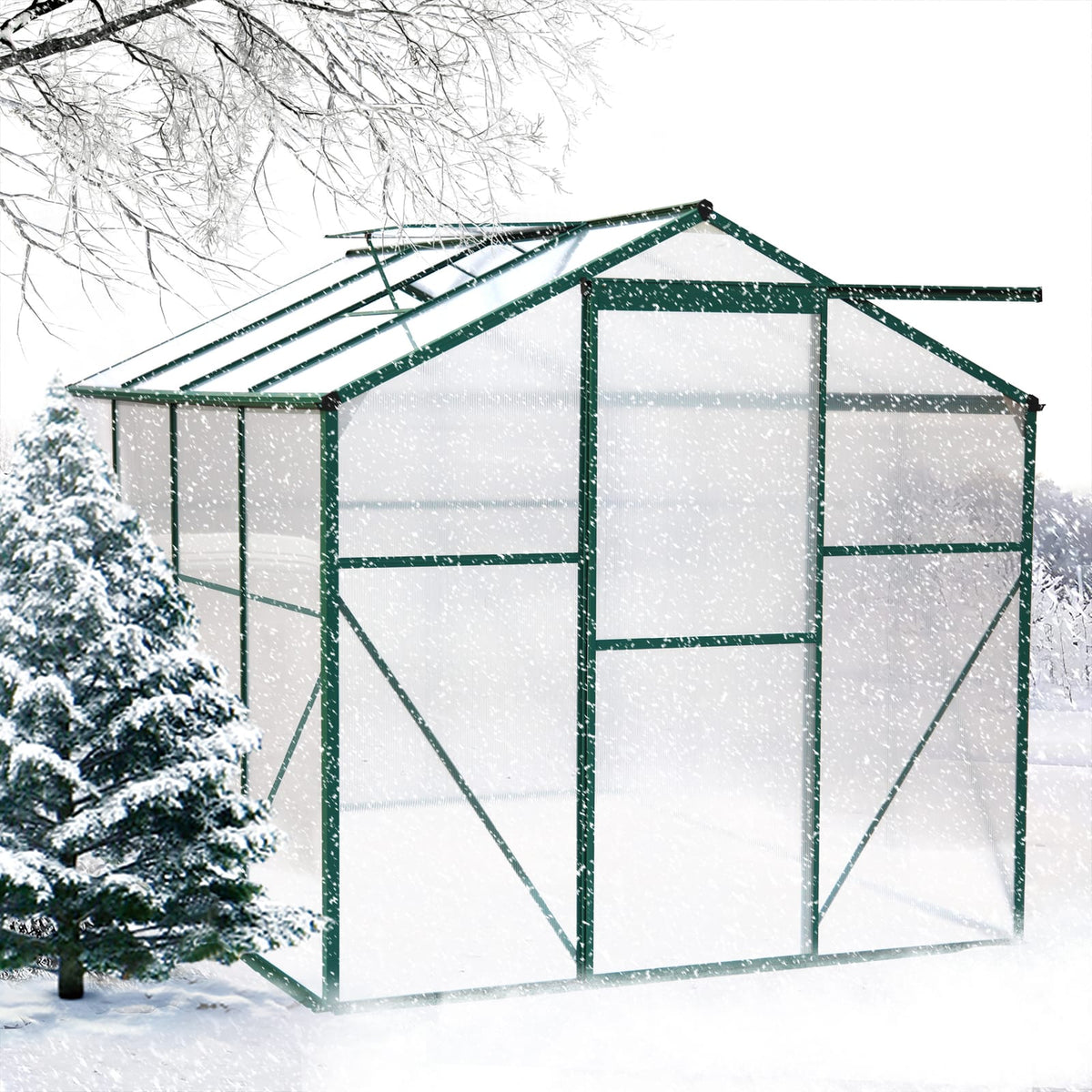 Polycarbonate Greenhouse 6'x8': Heavy Duty Walk-in Plant Garden for Backyard