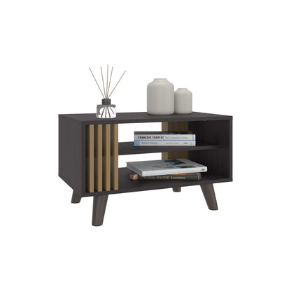 Multicolor Coffee Table with Storage Shelf - Modern Living Room Table