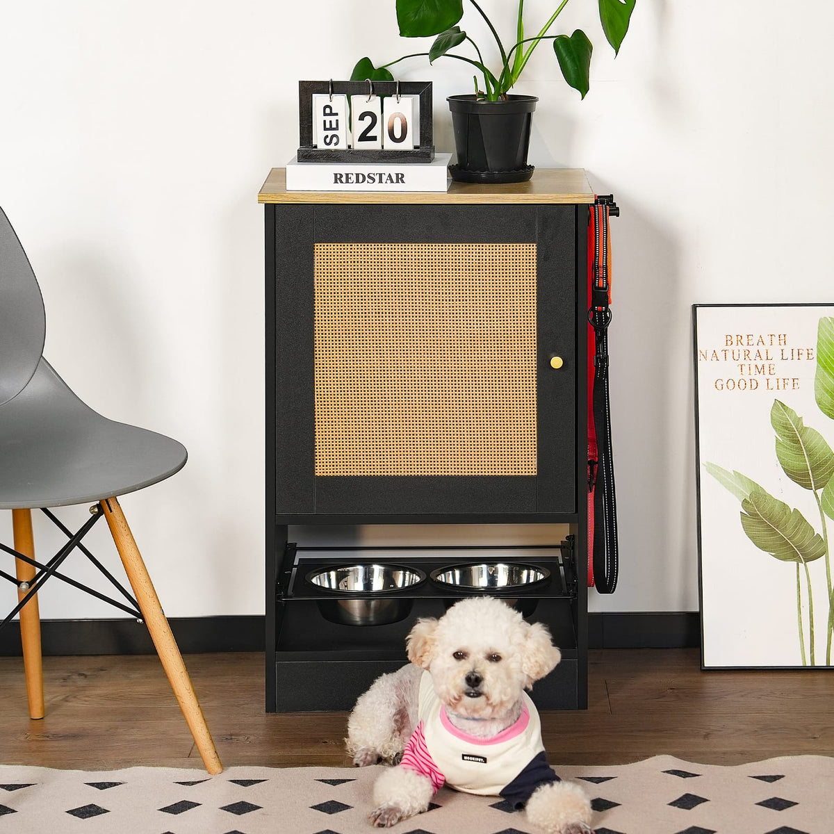 Feeding Station with Storage Cabinets - Black Vintage Pet Feeder