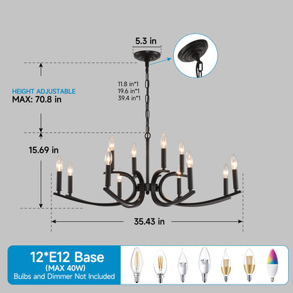 12-Light Farmhouse Chandelier - Black Metal Lighting Fixture