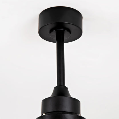 52 Inch Solid Wood Ceiling Fan with Lights Black