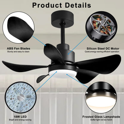 28 Inch Ceiling Fan with Lights - Black, Remote Control