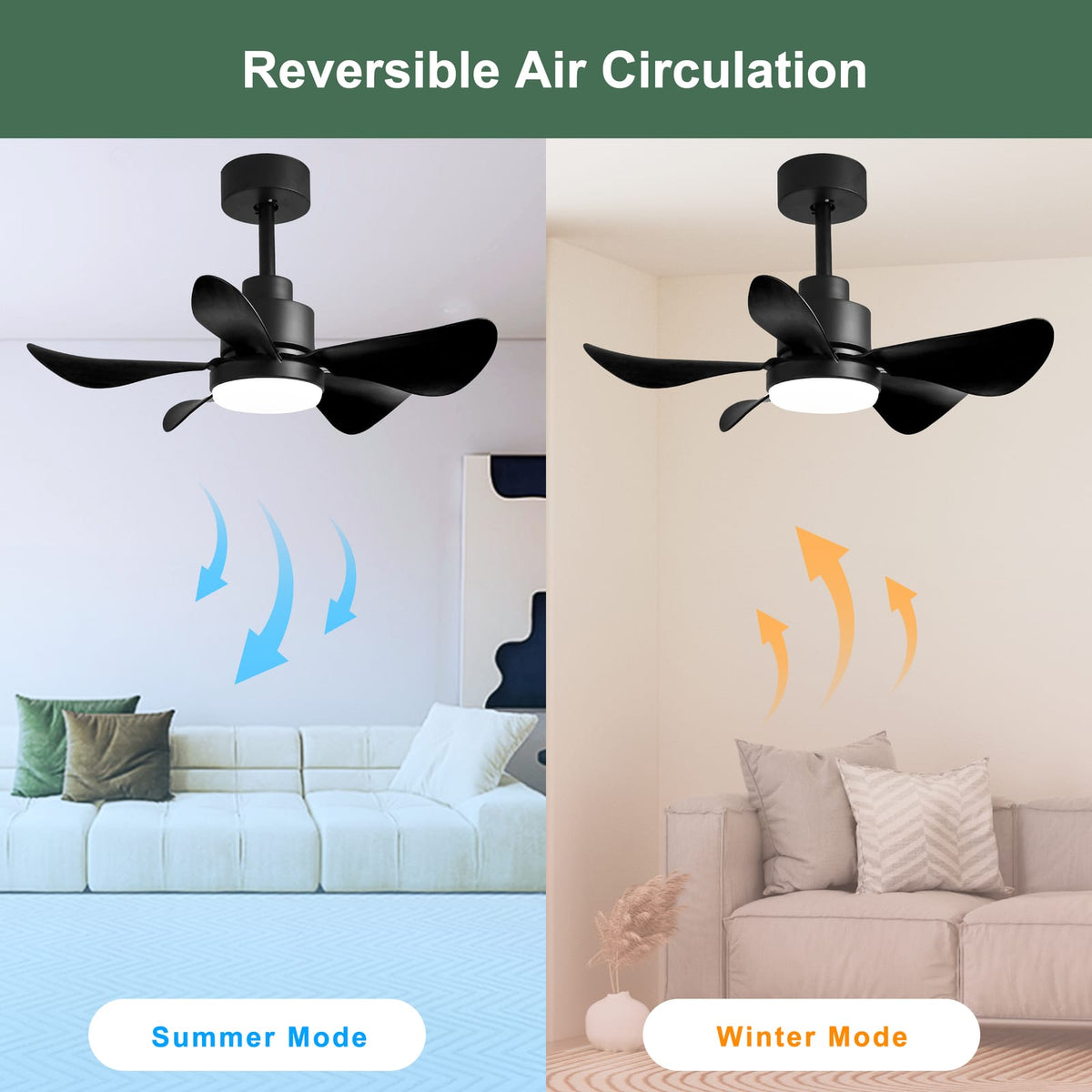 28 Inch Ceiling Fan with Lights - Black, Remote Control