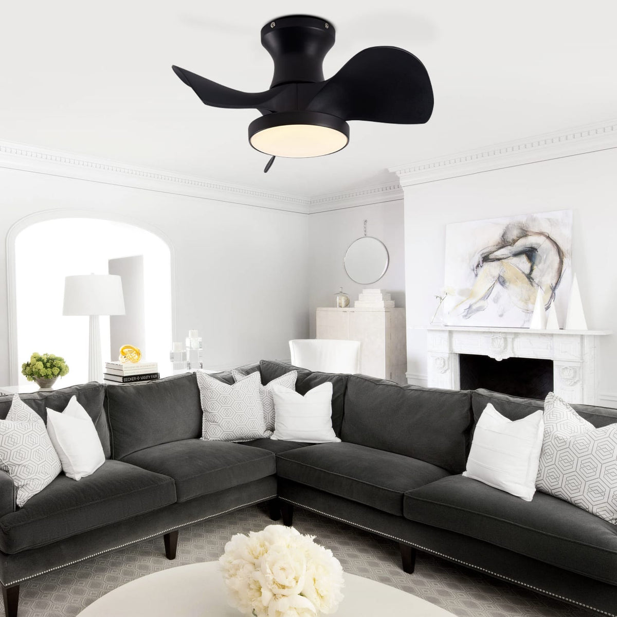 ABS Matte Black Ceiling Fan - Remote Control & LED Light