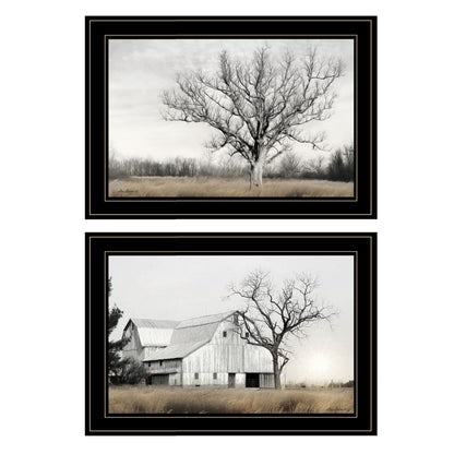 Ohio Fields Framed Wall Art - Farmhouse Bedroom Decor