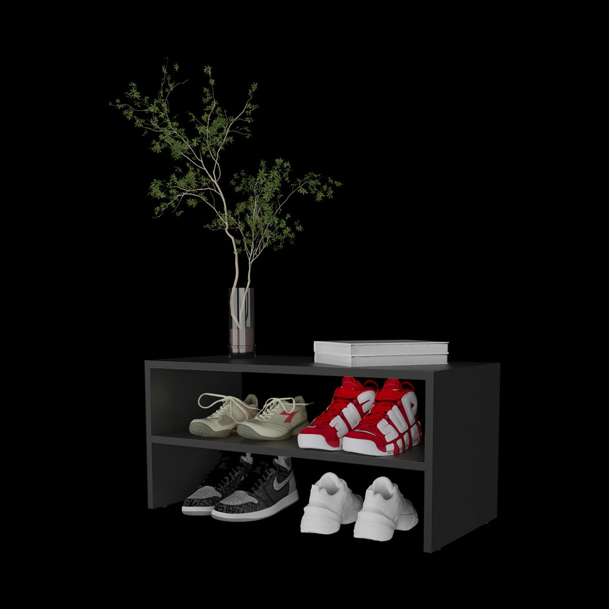 Black Melamine Shoe Rack - 2 Shelves, Compact Storage for Bedroom