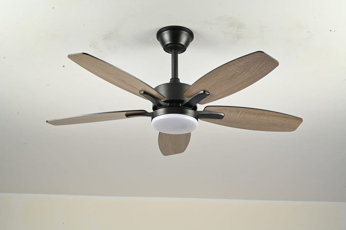 42" Plywood Ceiling Fan with Lights - Matte Black