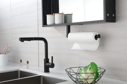 Matte Black Stainless Steel Paper Towel Holder for Kitchen Storage