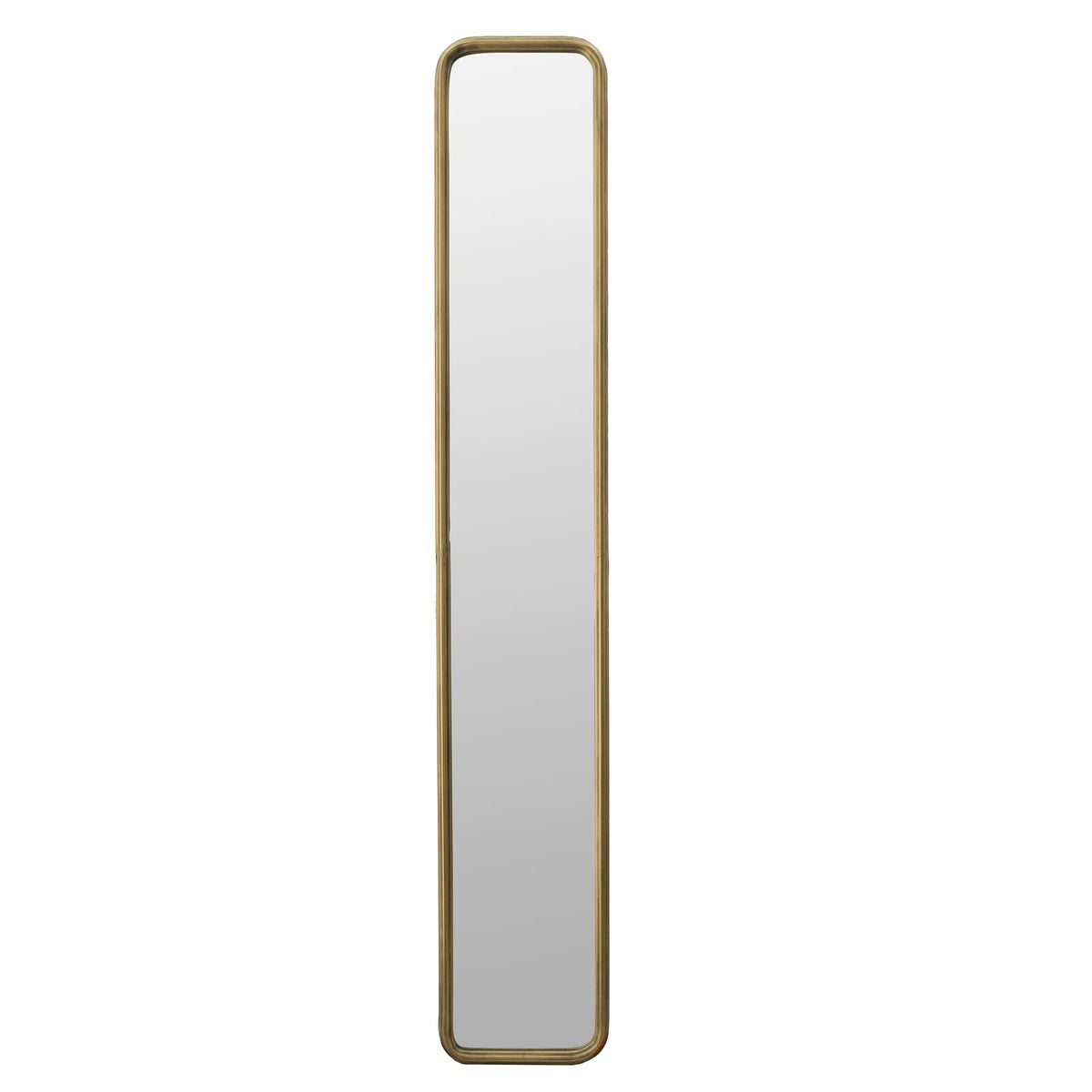 47 Inch Gold Metal Full Length Mirror