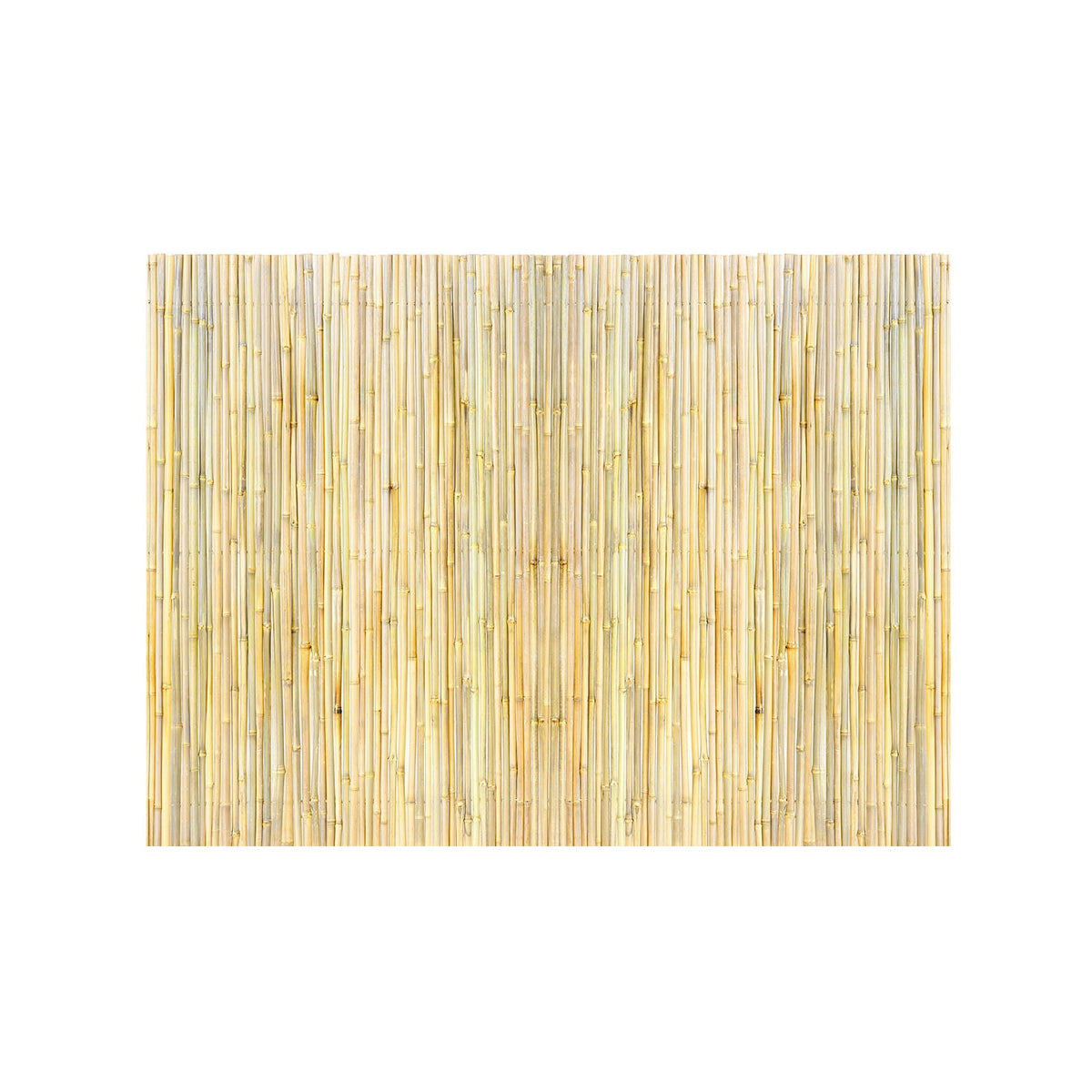Natural Rolled Bamboo Fence - 6ft Length, Durable & Easy Install