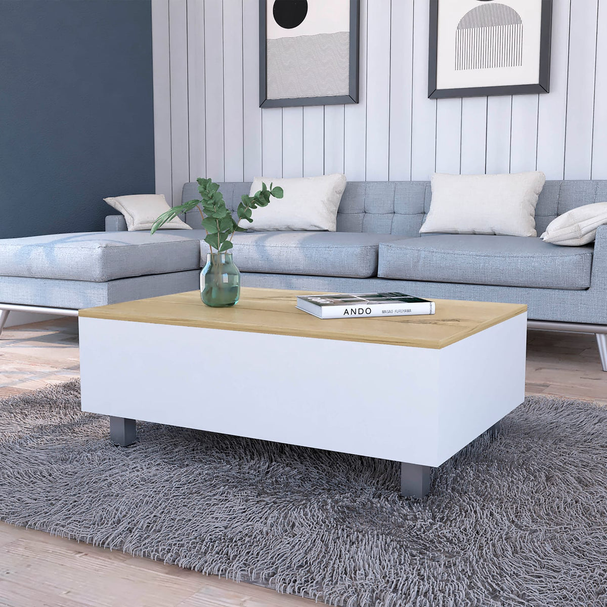 Multicolor Lift Top Coffee Table with Storage for Dining Room