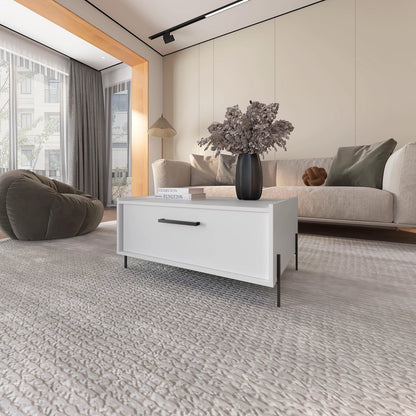 White Rectangular Coffee Table with Storage