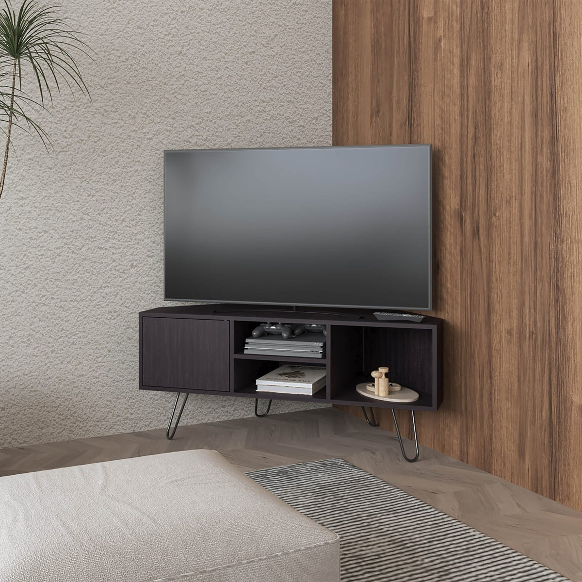 Wenge 1-Door TV Stand - Primary Living Space Storage
