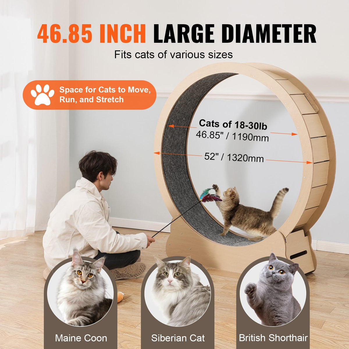 Wooden Cat Exercise Wheel - Large Treadmill for Indoor Cats