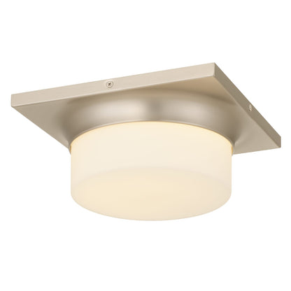 Brushed Nickel LED Flush Mount Light Fixture