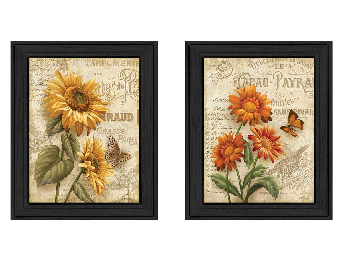 Framed Floral Wall Art - Black Frame Poster, 2 Piece Vignette