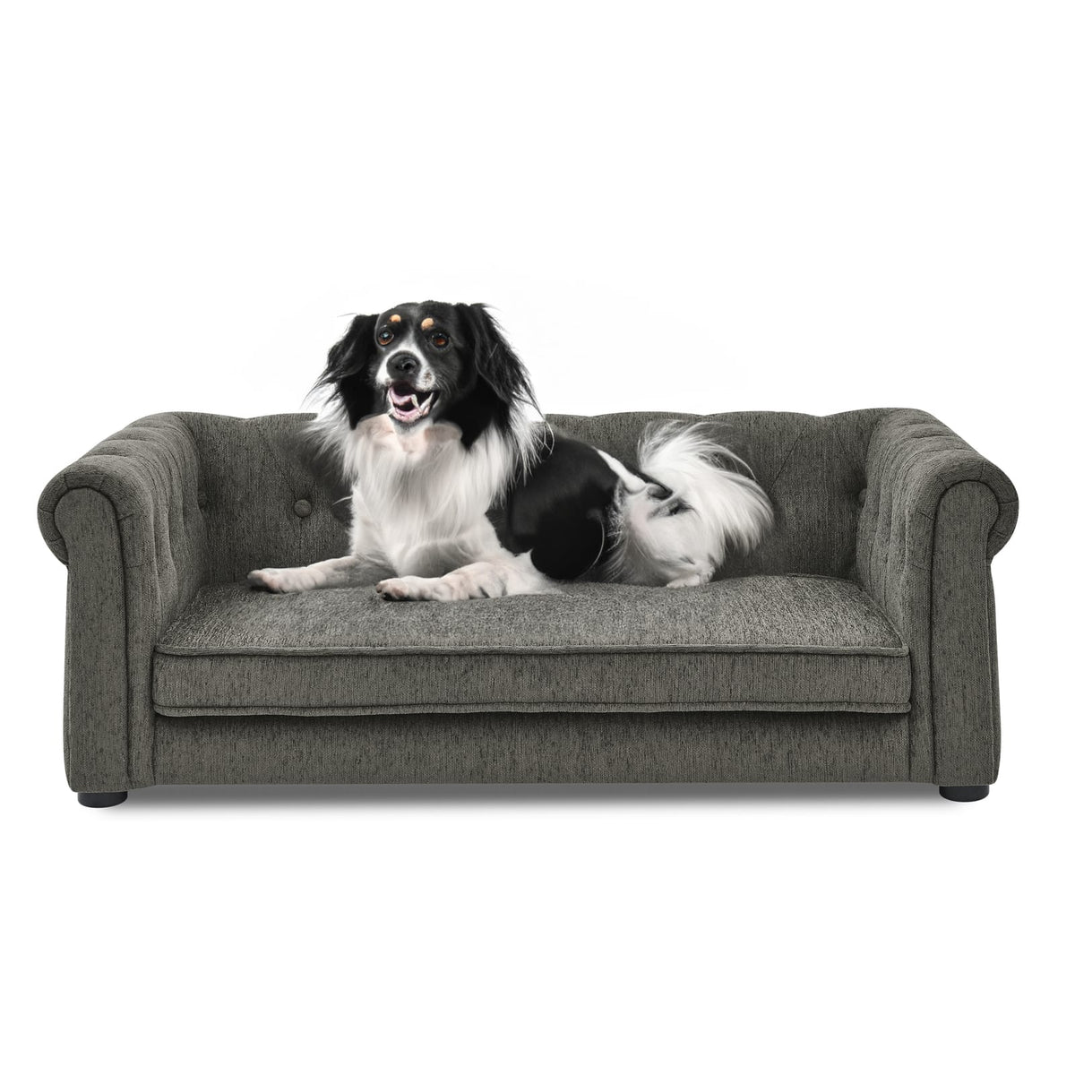 Dark Gray Elevated Dog Sofa Bed - Small Medium Dogs