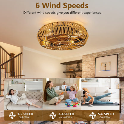 19" Caged Ceiling Fan with Light & Remote - Black Iron
