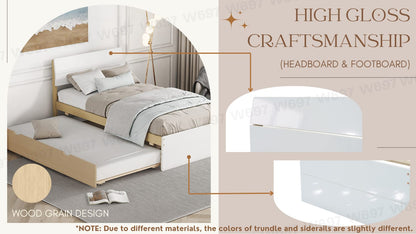 Modern Twin Bed Frame with Light Oak Trundle - White High Gloss